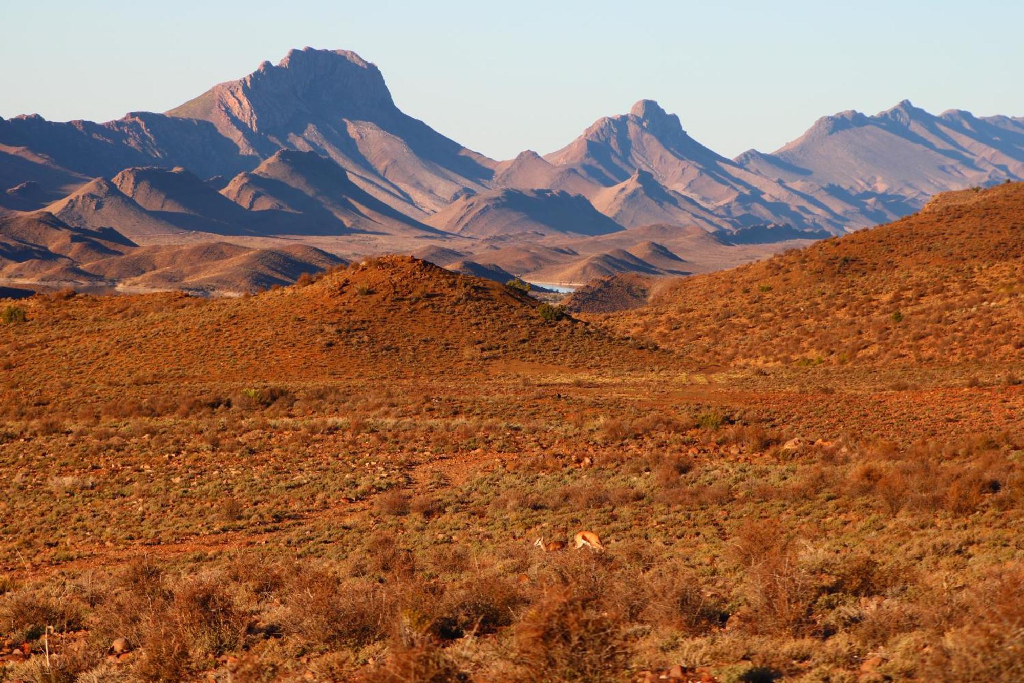 Bosch Luys Kloof Nature Reserve Ladismith Eksteriør billede